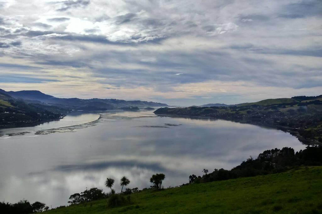 Bed and Breakfast Restview Dunedin Esterno foto